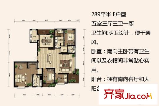 逸景灣一期2#、5#標(biāo)準(zhǔn)層E戶型 5室3廳3衛(wèi)1廚
