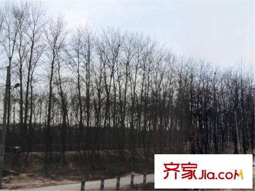 泰禾红御周边配套-小路2013.5
