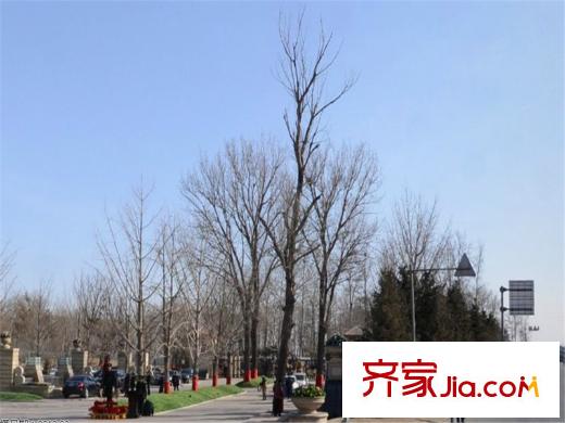 泰禾红御周边配套-广场2013.5