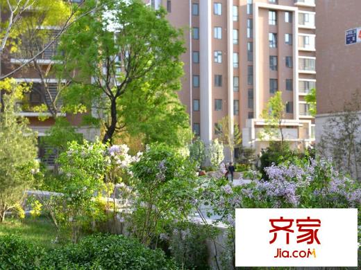 悦廷・mini悦园林2013.05