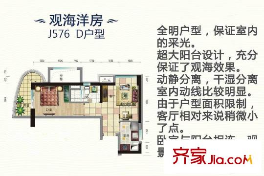 碧桂園十里金灘E區(qū)42-48號(hào)樓和H區(qū)2、7、8號(hào)樓576-04戶型圖 1室1廳1衛(wèi)1廚
