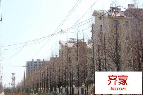 歐美榭香里（2015-3-19）