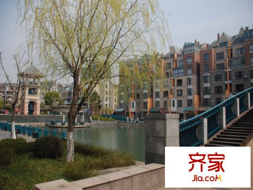 翠屏國際城別墅外景圖