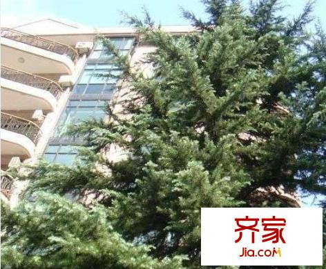 海怡別墅公寓外景圖