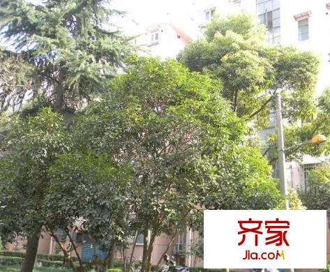 恒大華城梅山苑外景圖
