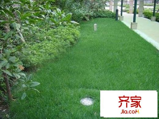 裕盛豪园外景图关图_5
