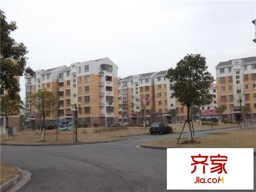 盛世春曉苑外景圖 