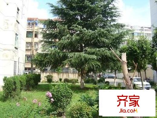 南橋曙光外景圖