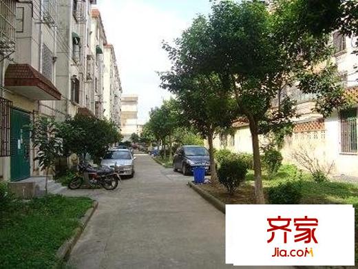 南橋曙光外景圖