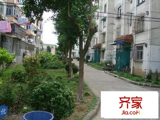 南橋曙光外景圖