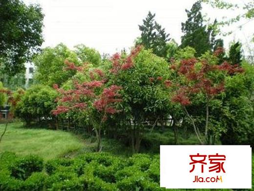 真光六街坊外景图