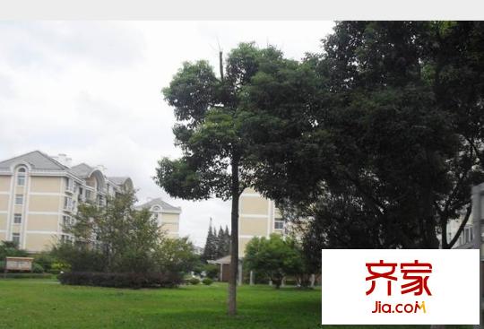 文馨苑(南匯)外景圖