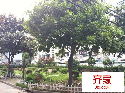 由由六村外景圖 