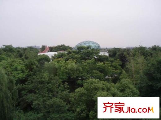 六十四階別墅周邊長寧國際學校
