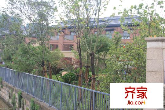 匯錦臻?。?015.6）