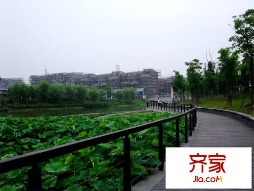 远香湖九号(2010.7)