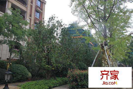 保集瀾灣紅墅項(xiàng)目（2015.9）