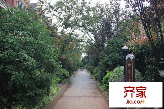 保集瀾灣紅墅別墅景觀（2015.9）