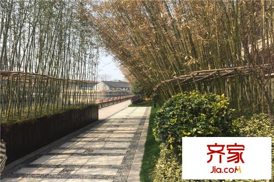 新城水云间(2015.3)