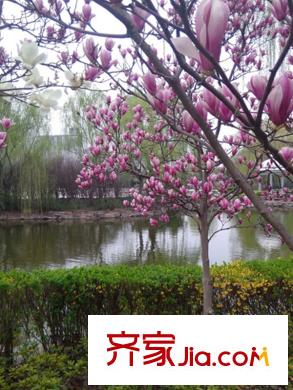 三盛松江颐景园别墅松江中央公园