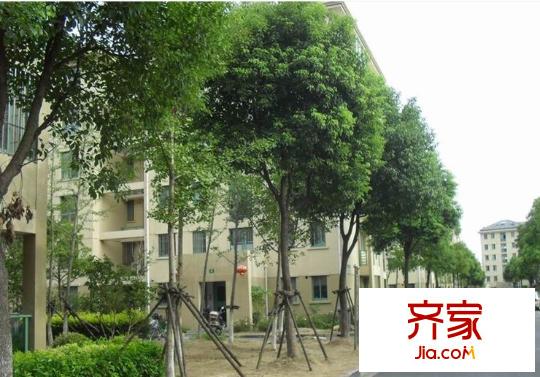 雙秀西園外景圖