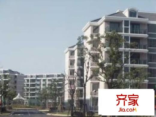 唐人苑外景圖 