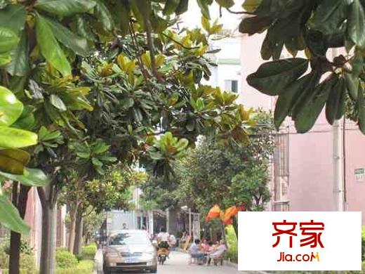 芳華路229弄小區(qū)外景圖芳華路229弄 