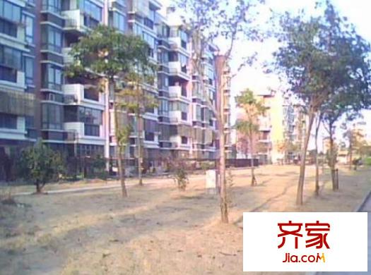 鑫港苑外景圖