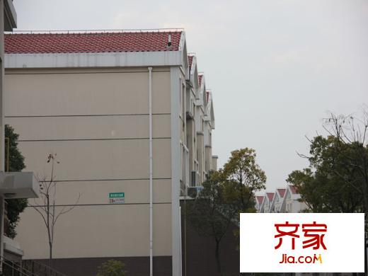 東豐林居（2013.01.15）