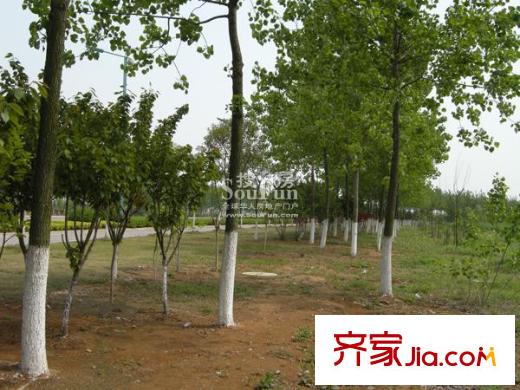 中浩學(xué)府風(fēng)景配套圖周邊