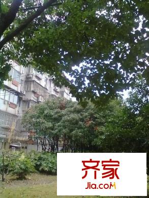 金楊路750弄小區(qū)外景圖金楊路750弄 