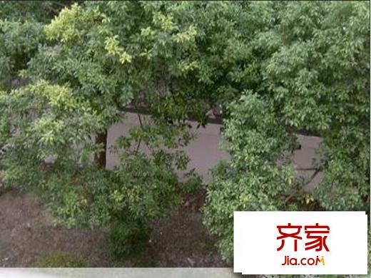 永旭家苑外景圖