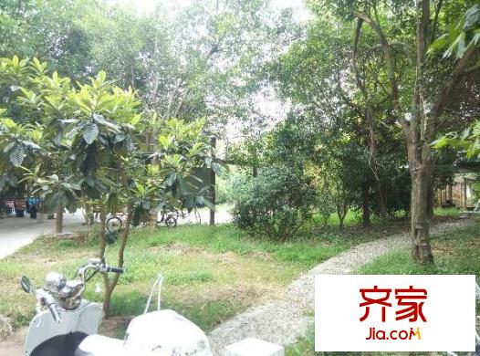鐵匠營(yíng)小區(qū)外景圖