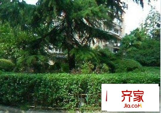 星羅苑外景圖