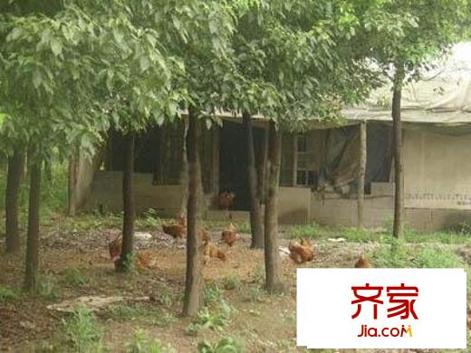 德州二村外景圖