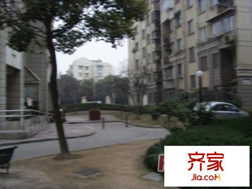 紅柿苑外景圖上海  