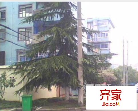 金橋新村一街坊外景圖