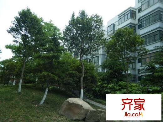 江南清漪園外景圖 