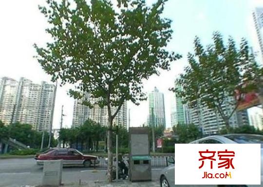 日月星辰外景图上海