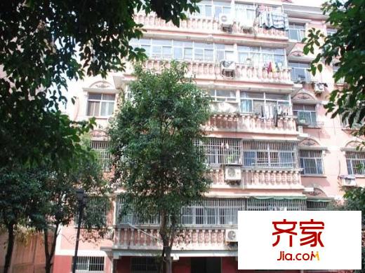 金發(fā)公寓外景圖