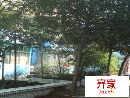 紫鑫國際城外景圖
