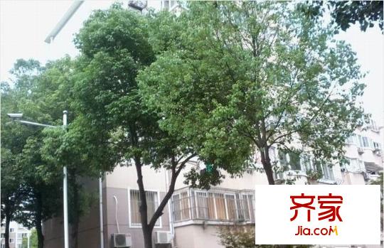金盛公寓外景圖