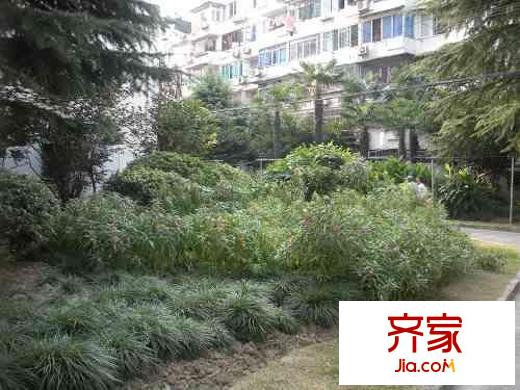 沪太新村外景图