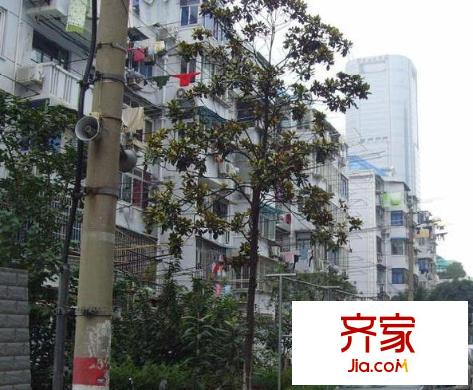 泉東小區(qū)二小區(qū)外景圖