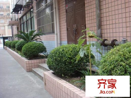 紫光大廈