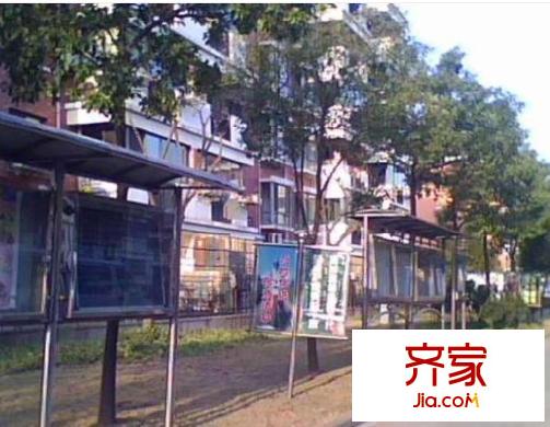 金楓公寓