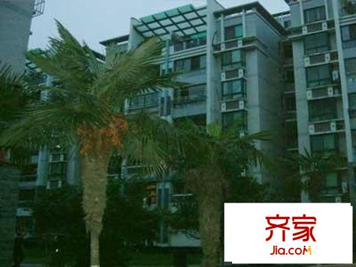 長(zhǎng)虹路住宅外景圖