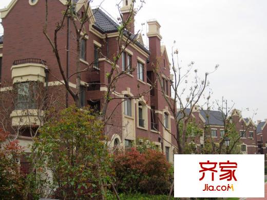 尼德蘭北岸 (2011.4)