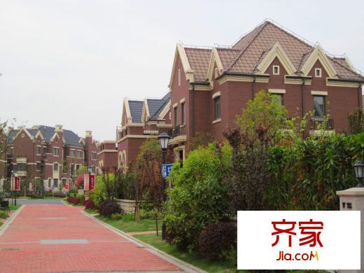 尼德蘭北岸 (2011.4)