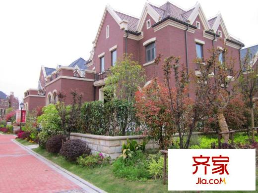 尼德蘭北岸